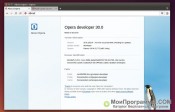 Opera Developer скриншот 2