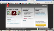 Adobe Flash Player для Google Chrome скриншот 2
