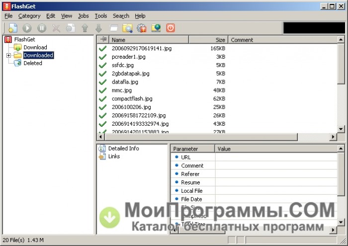 Скачать бесплатно flashget на русском языке для windows 7.