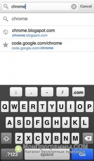 Google Chrome для iPad скриншот 4