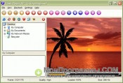 Macromedia Flash Player скриншот 3
