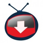 Программа для закачки видеороликов с различных сервисов YTD Video Downloader